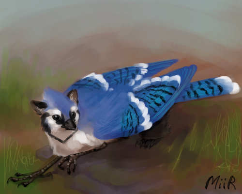 Bluejay Gryphon