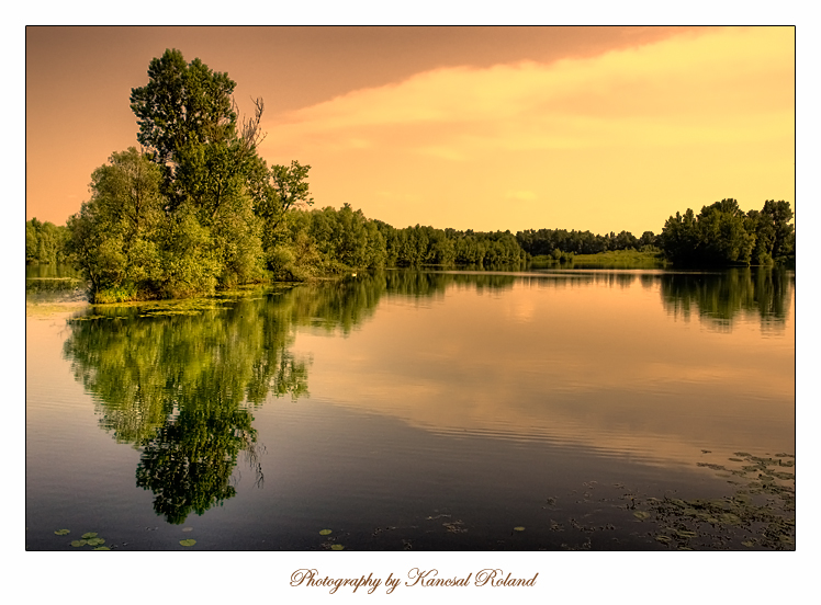 Silence of the Lake