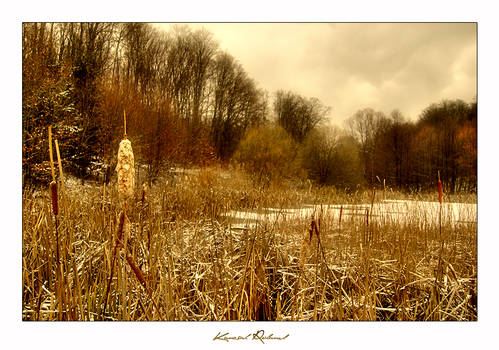 Winter Lake