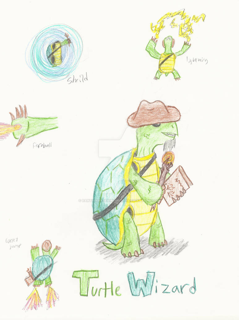 Commission: Turtle Wizard by EarthmasterIndustry on DeviantArt
