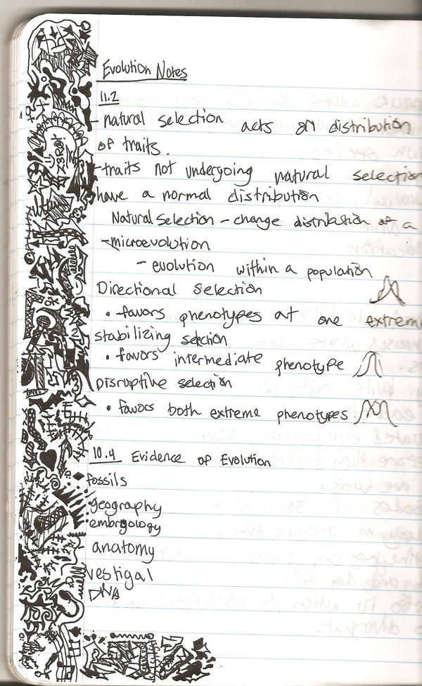 bio notes by justinsaweirdo on DeviantArt