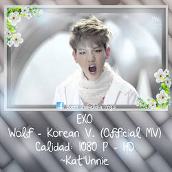 (MV) EXO - Wolf (KOREAN VER) -DOWNLOAD | Kat'Unnie