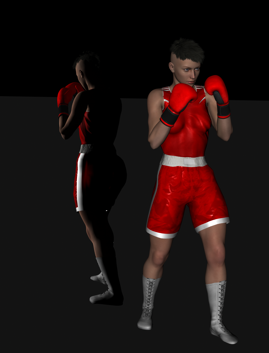 Boxing Gear