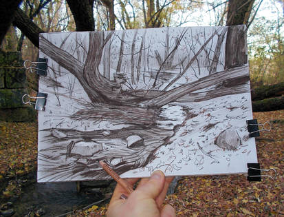 2022.11.13 - drawing BARE TREES ABOVE THE CREEK