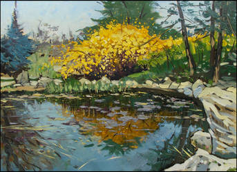 FORSYTHIA IN BLOOM (EN-PLEIN-AIR SKETCH)