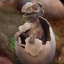 Raptor Hatchling