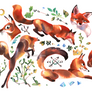 foxes