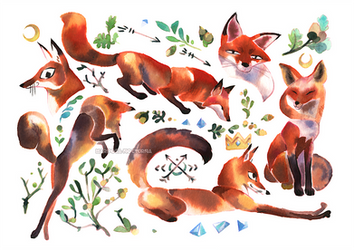 foxes