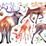 deers