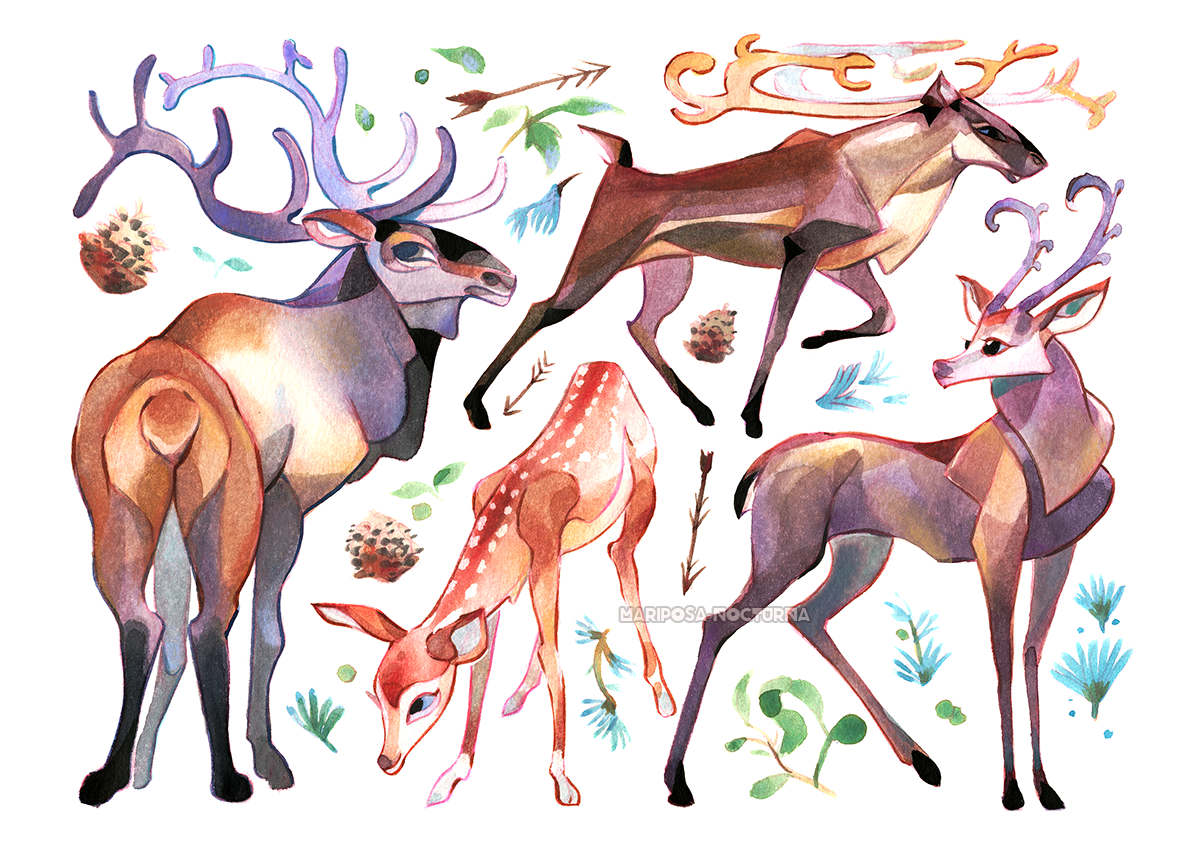 deers