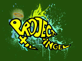 Project Angel Sea Turtle