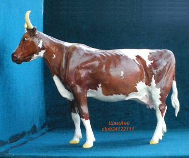 Ayrshire cow Mirnaja.