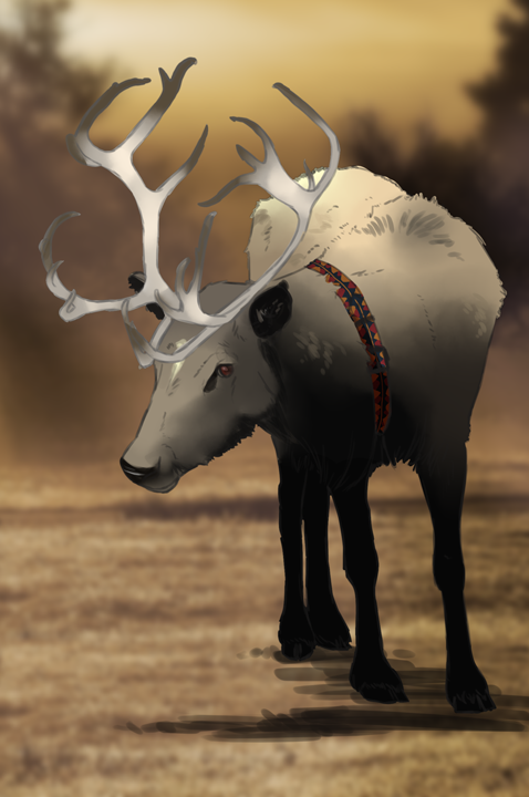 Oavan in reindeer form XD