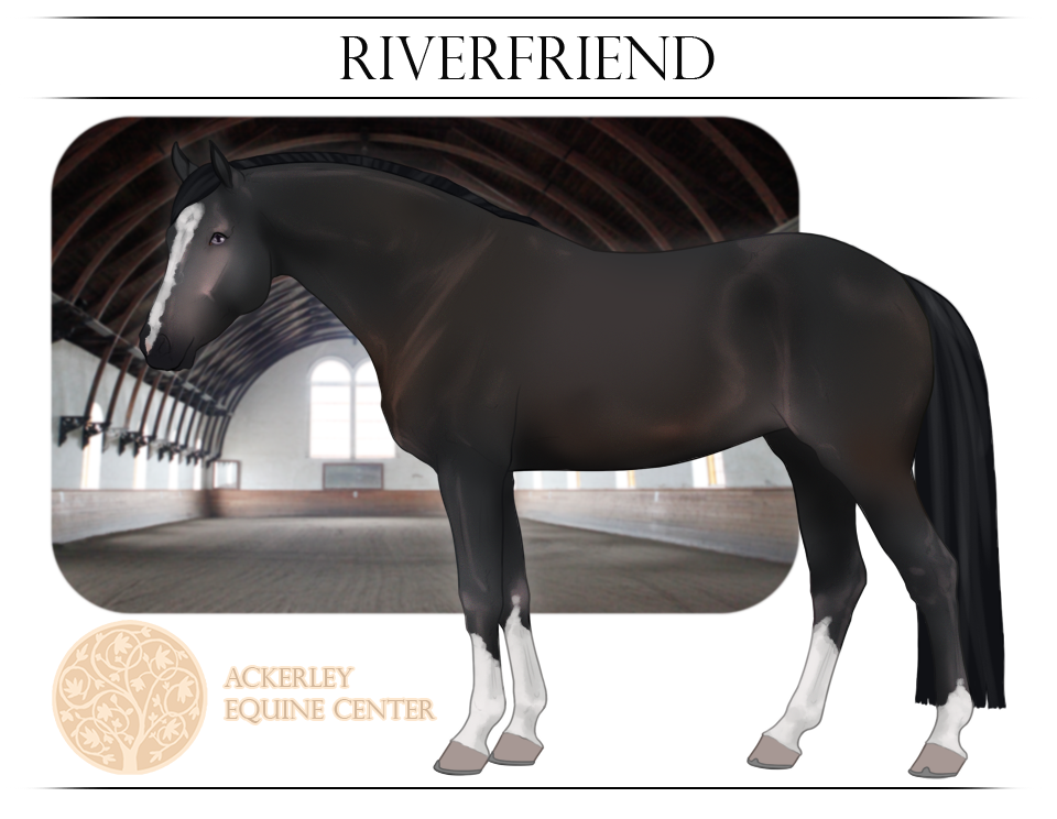 AEC School Horse - Riverfriend