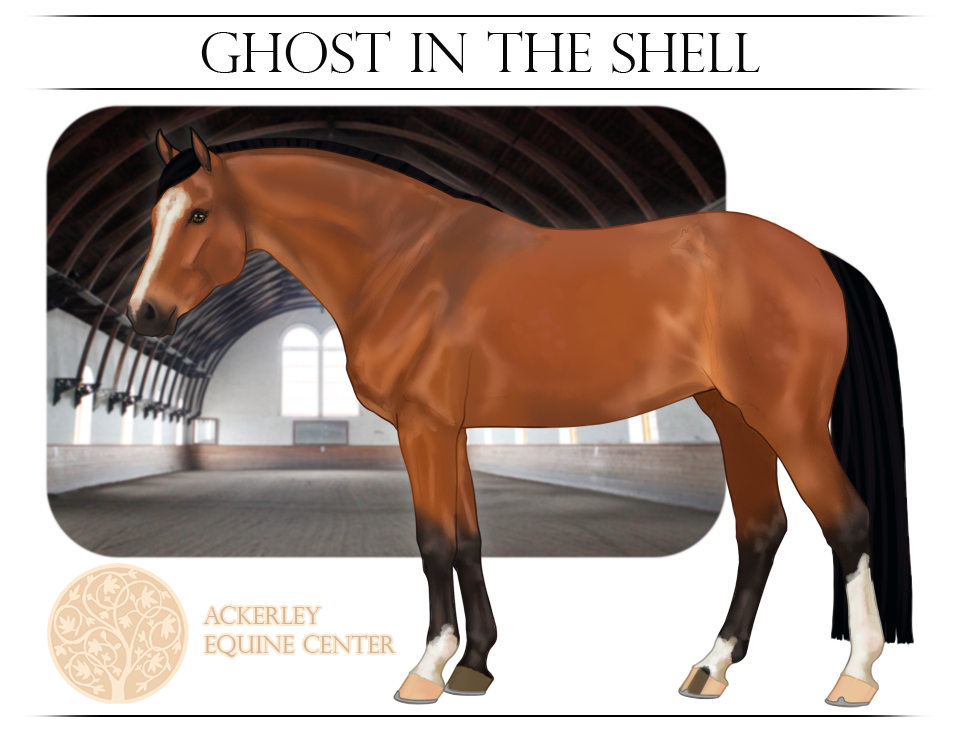 AEC School Horse - Ghost in the Shell