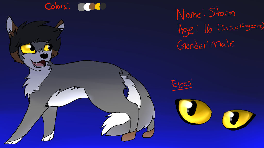 Storm~ Reference Sheet (OLD) by Commander-Carrot on DeviantArt