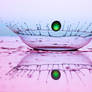 Splash 2