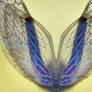 Stock Photo - Insect Wings