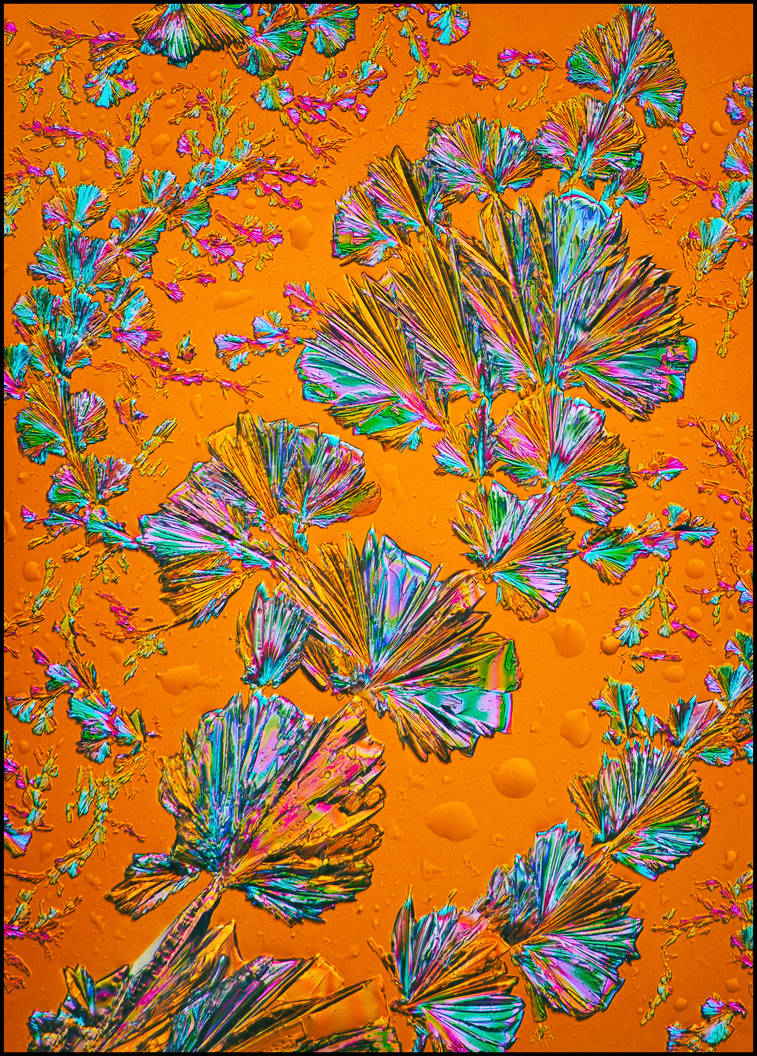 Boundless by endprocess83 on DeviantArt