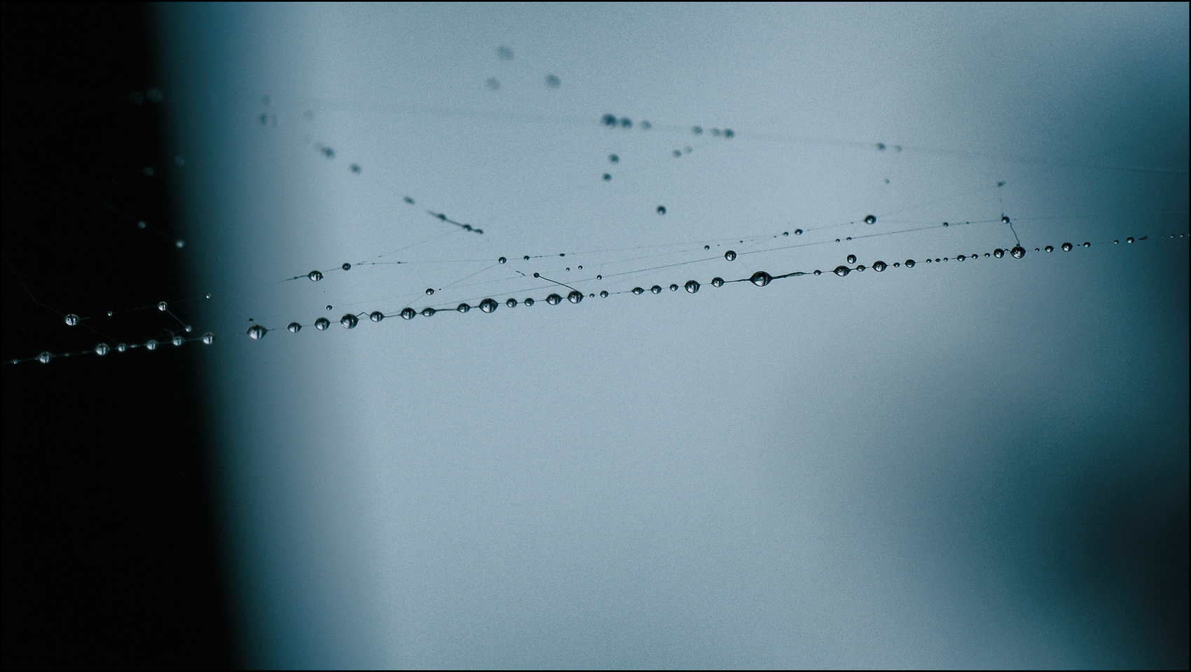 A Spider's Necklace (i1)