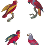 (4)Red_Parrot PNG