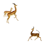 Antelopes-1800's-2-PNG
