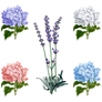 Mix_Flowers_4_PNG