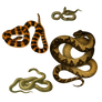 Snakes 3 PNG