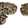 Snake-Trio PNG