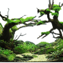 Trees 2-PNG