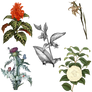 Variety of 1800's Flowers 2 PNG