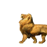 Lion_PNG