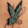 Butterfly done