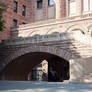 The American Museum of Natural History