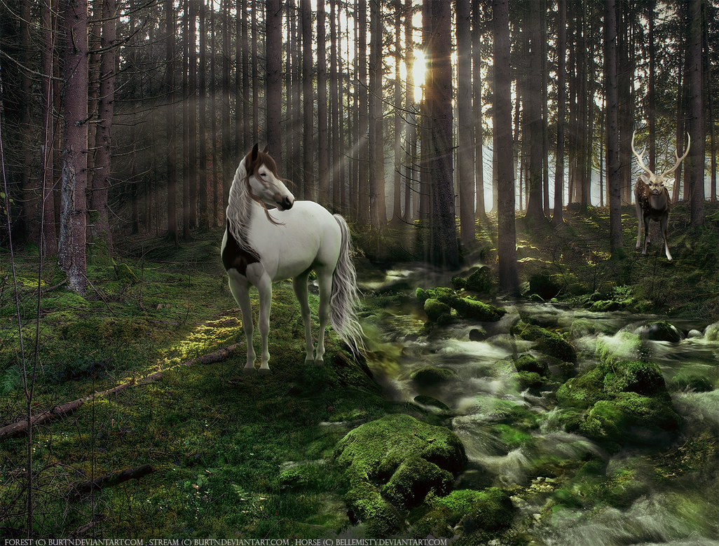 Where the Wild Things Are by Sharpiexxo