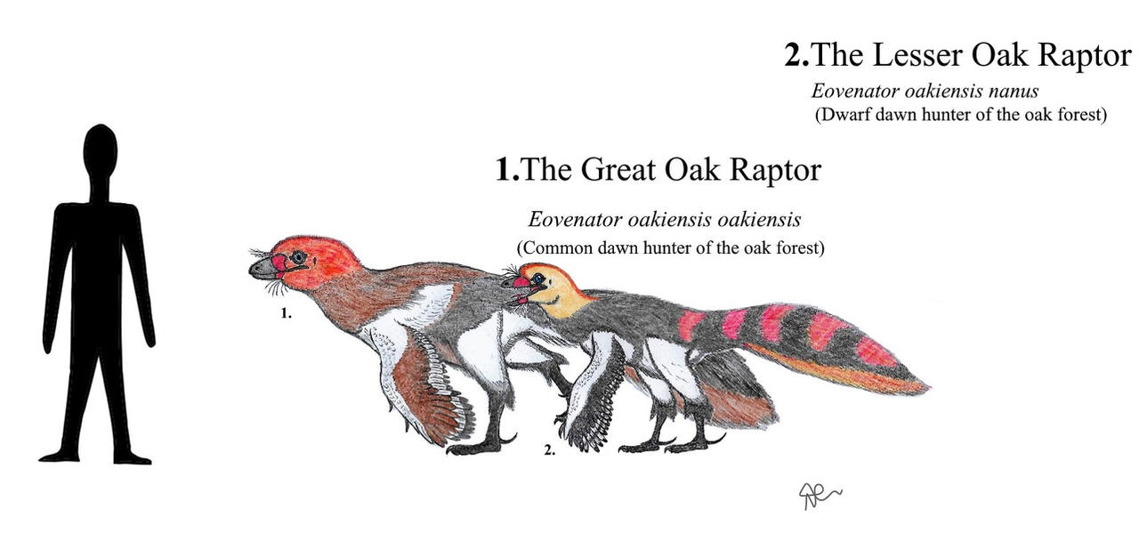 Obe Raptor Oak Raptors of Rivera by NickRDanis23456 on DeviantArt