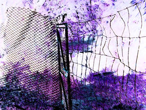 THe Fence__go to the otherside