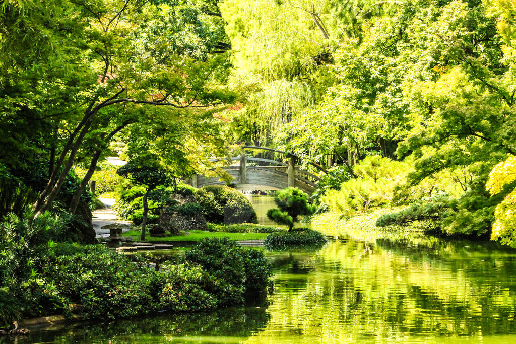 Japanese Garden at The Fort Worth Botanical Garden