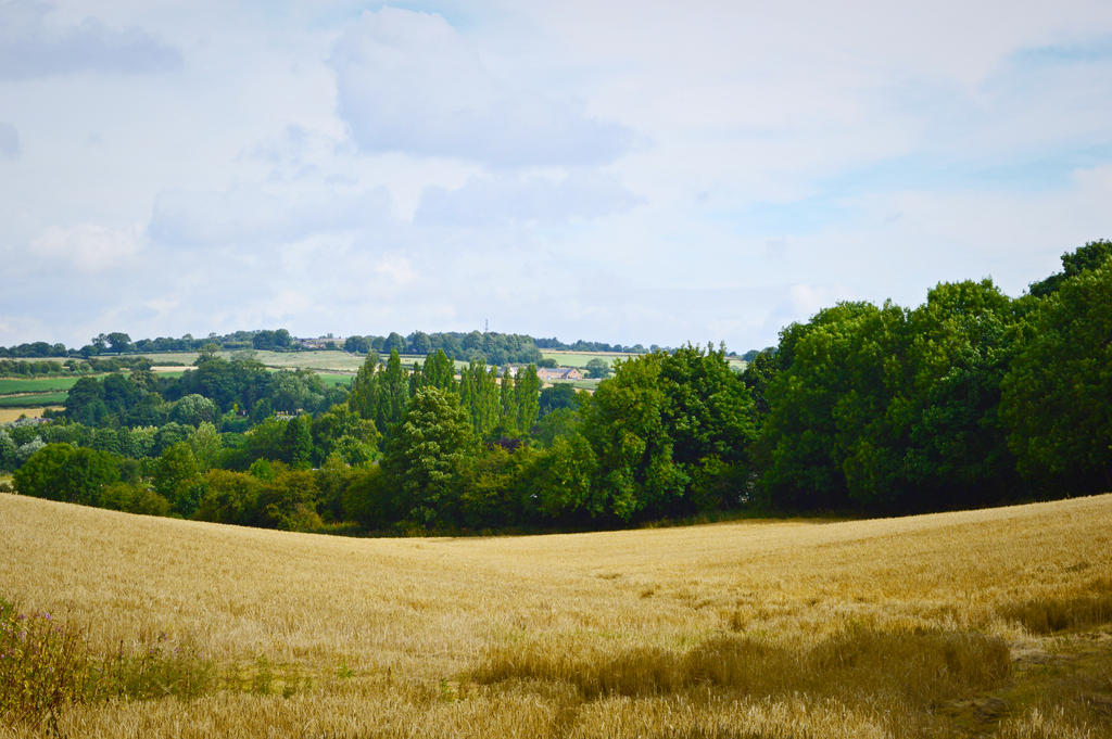 Field View Graphics Field View by craigmoss19 on DeviantArt