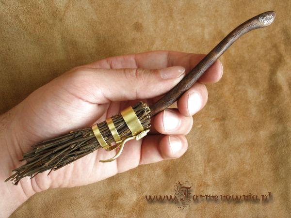 Nimbus 2000 mini in my hand