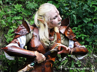 Elven Gaurd - Amber Misstres 03