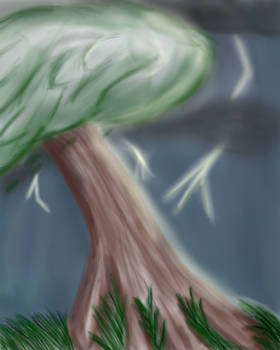 Tree In a Storm