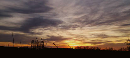 Tescos sunset