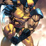 Wolverine