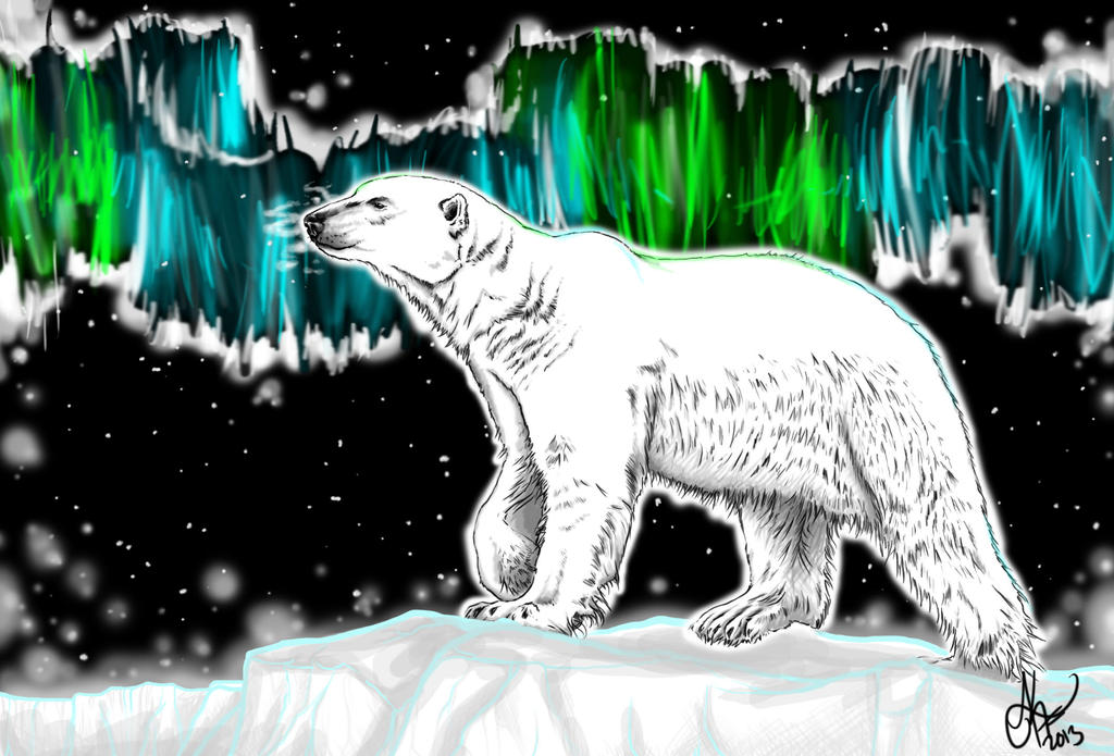 PolarBear