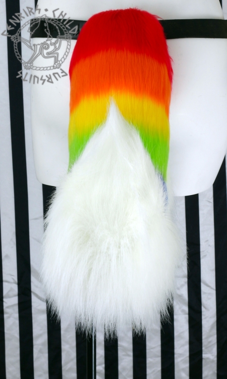 Rainbow husky/malamute tail