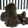 Brown feral canine handpaws