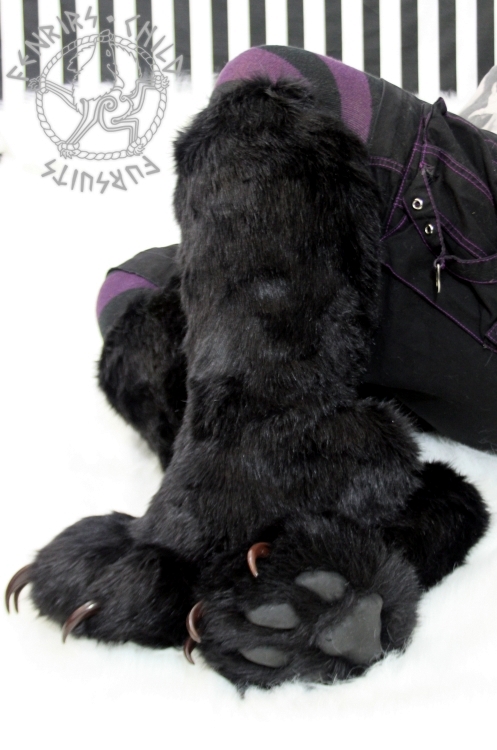 Fen Pawboots seated