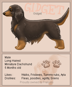 Nintendogs Gidget by sealle on DeviantArt