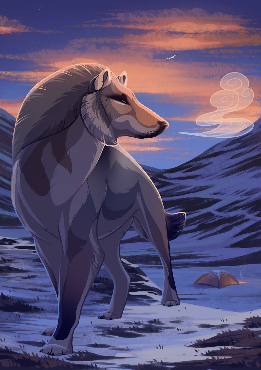 Fading Light by sealle